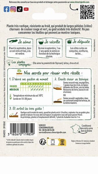 VILMORIN - Graines potagères - Rhubarbe Victoria - productive - large