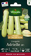VILMORIN - Courgette Adrielle HF1 - Graines potagères - Hybride F1 - vignette