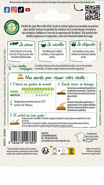 VILMORIN - Laitue Batavia Kamikaze feuilles rouges - large