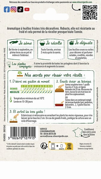 VILMORIN - Persil frisé Alto - large