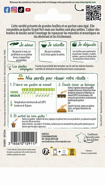 VILMORIN - Basilic marseillais extrêmement parfumé - large