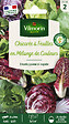 VILMORIN - Mélange de graines de chicorée - 6 variétés - 4g - vignette