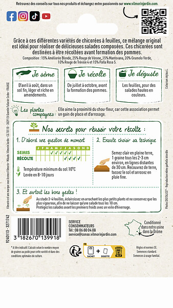 VILMORIN - Mélange de graines de chicorée - 6 variétés - 4g - large
