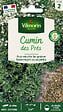 VILMORIN - Graines de carvi - Cumin des prés - Vilmorin - vignette