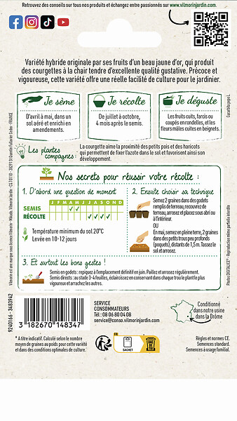 VILMORIN - Graines de Courgette Orelia HF1 - Peau jaune - Hybride F1 - large