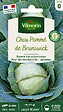 VILMORIN - Chou cabus de Brunswick - Pomme volumineuse - Tardive - vignette