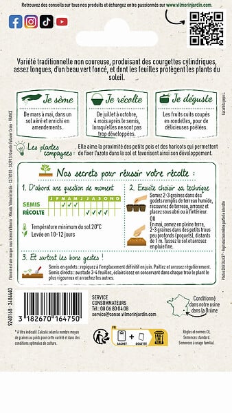 VILMORIN - Courgette verte noire maraîchère - large