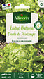 VILMORIN - Laitue Batavia Dorée de printemps - vignette