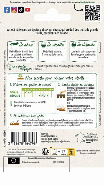 VILMORIN - Graines de poivron Yolo Wonder - Rouge - Sachet 1,5 g - large