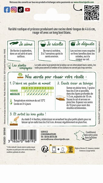 VILMORIN - Graines de radis Pernot clair - Rouge vif à bout blanc - 8 g - large