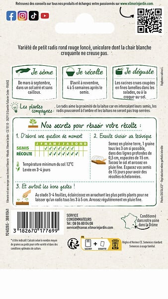 VILMORIN - Radis rond écarlate - large