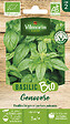 VILMORIN - Basilic Genovese Bio - Graines - Facile à cultiver - vignette