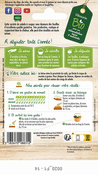 VILMORIN - Laitue à couper salad bowl verte - large