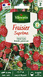VILMORIN - Fraisier des 4 saisons suprême - vignette