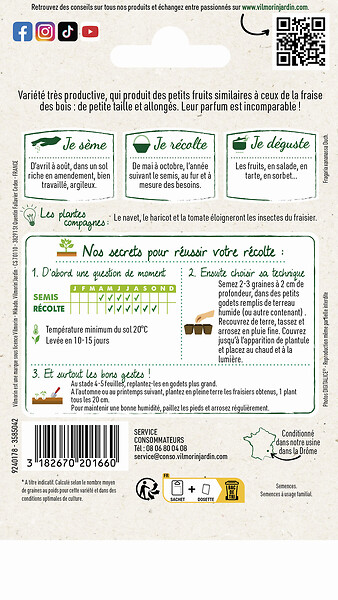 VILMORIN - Fraisier des 4 saisons suprême - large