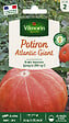 VILMORIN - Potiron atlantic giant 'fruits énormes' - vignette