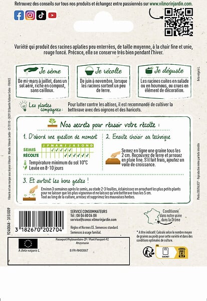 VILMORIN - Betterave potagère plate - Graines - Précoce - large