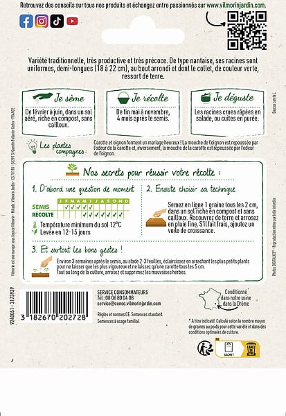 VILMORIN - Carotte Touchon - large
