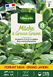VILMORIN - Mâche à grosse graine - Sachet eco - 12 g - vignette