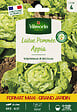 VILMORIN - Laitue beurre - Appia Grand Jardin - Sachet de graines - vignette