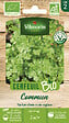 VILMORIN - Cerfeuil commun bio Vilmorin - vignette