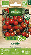 VILMORIN - Tomate cerise Bio - vignette