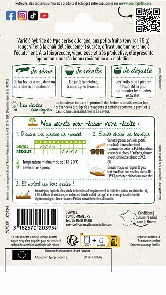 VILMORIN - Tomate Aligote F1 hybride - Graines potagères - Mini Roma - large