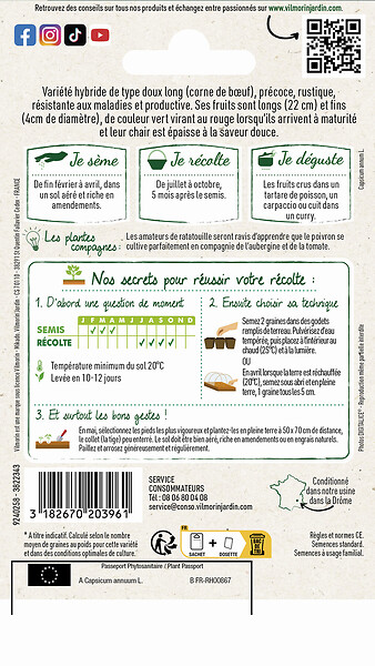 VILMORIN - Piment doux Spadi HF1 Création Vilmorin Vilmorin - large