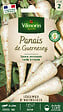 VILMORIN - Graines de panais - Variété Guernesey - 5g - vignette