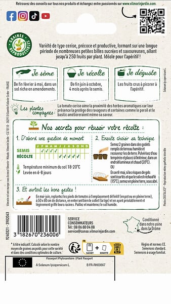 VILMORIN - Tomate Sweetbaby VILMORIN - large