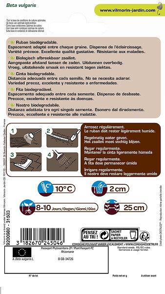 VILMORIN - Ruban de semences betterave Grenade HF1 - 5m - large