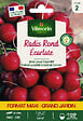 VILMORIN - Semence de radis - Radis rond écarlate - Sachet 30g - vignette