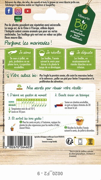 VILMORIN - Sauge bio - large