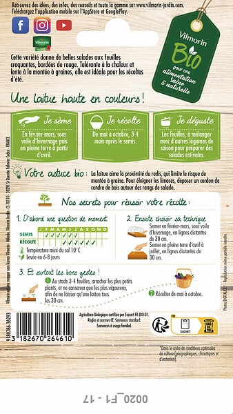 VILMORIN - Laitue blonde a bord rouge 2 - large