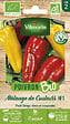VILMORIN - Poivron mélange de couleurs bio Vilmorin - vignette