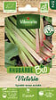 VILMORIN - Graines de rhubarbe Victoria bio - Sachet 0,5 g - vignette