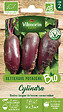 VILMORIN - Betterave Cylindra bio - Légume racine - Agriculture Bio - vignette