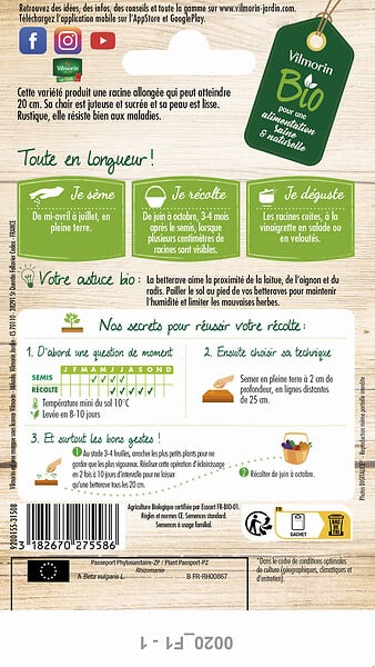 VILMORIN - Betterave Cylindra bio - Légume racine - Agriculture Bio - large
