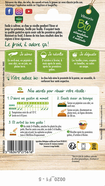 VILMORIN - Chou frisé kale Westlandse Winter - Graines bio - Rustique - large