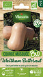 VILMORIN - Courge musquée Waltham Butternut bio - vignette