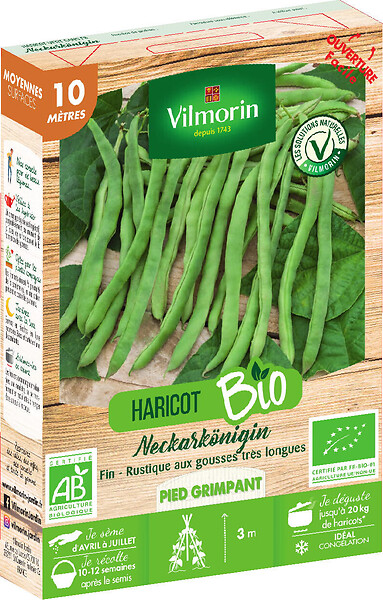 VILMORIN - Haricot grimpant vert neckarkönigin 10m - large