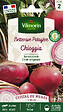 VILMORIN - Betterave potagère Chioggia - Bicolore - Rose et blanc - vignette