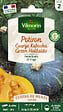 VILMORIN - Courge kabocha green Hokkaido Vilmorin - vignette