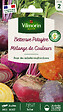 VILMORIN - Betterave arc en ciel - vignette