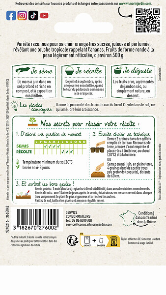 VILMORIN - Graines de melon - Melon Ananas d'Amérique - large