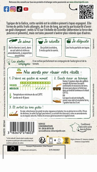 VILMORIN - Poivron padron - Sachet 1g - Semis février - large