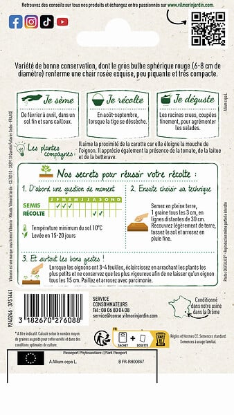 VILMORIN - Oignon rouge - Morada de Amposta - Bulbe 6-8cm - large