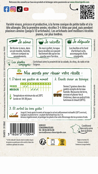 VILMORIN - Graines d'Artichaut Violet de Provence - Variété précoce - large