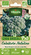 VILMORIN - Graines de chou brocoli Calabrese Natalino bio - vignette