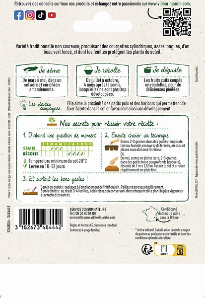 VILMORIN - Courgette verte maraîchère Vilmorin - large